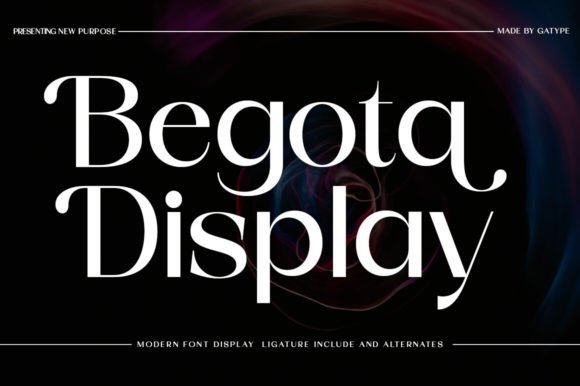 Begota Display: A Bold Serif Font for Modern Web Design