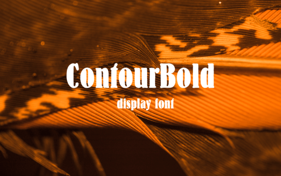 Contour Bold: A Striking Display Font for Modern Web Design Projects