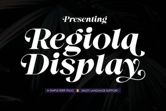 Regiola Display: A Designer’s Take on Real-World Use